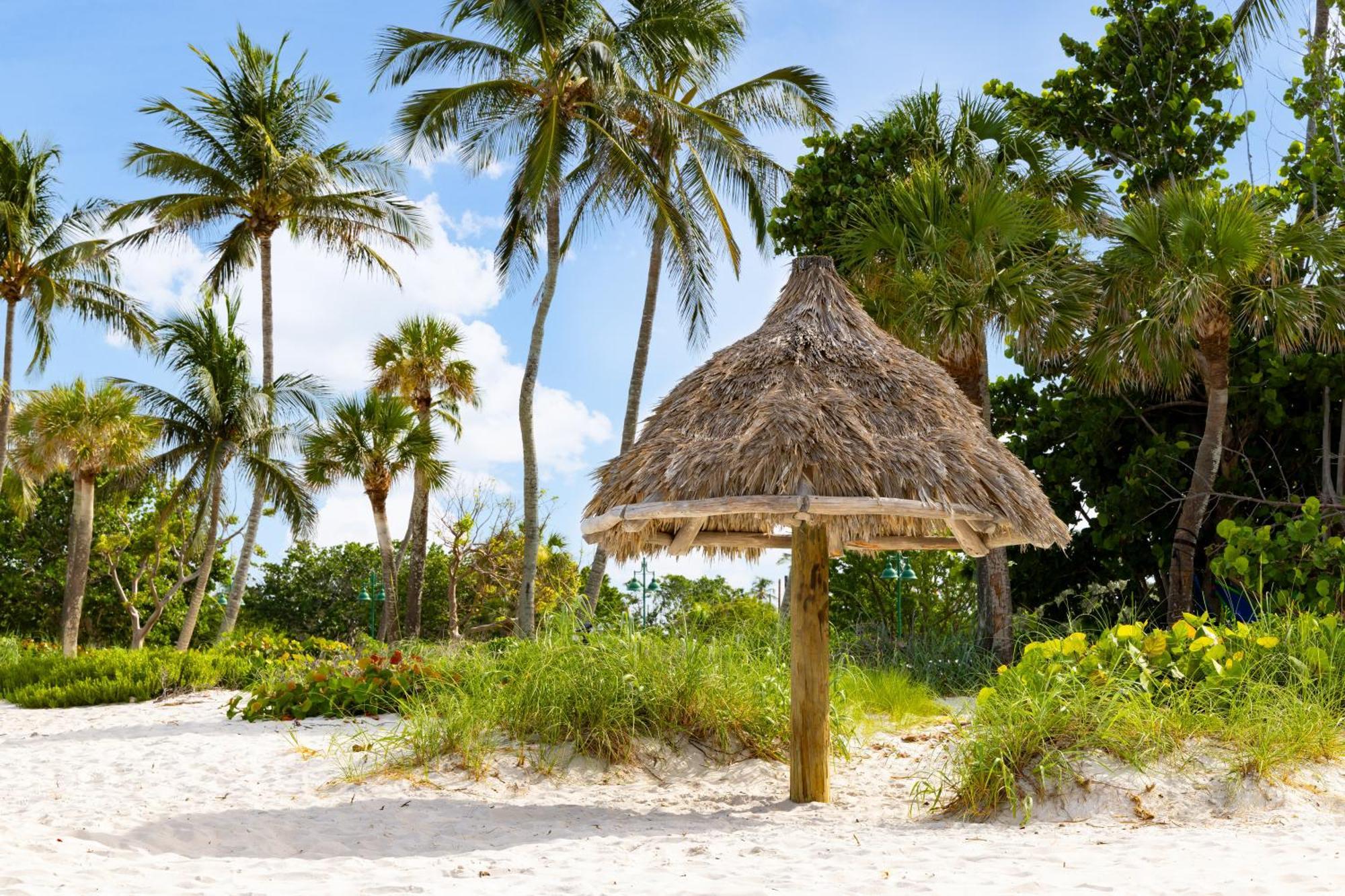 Hampton Inn Naples-Central Екстер'єр фото